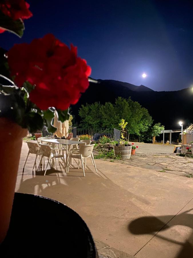 特耶多尔酒店 Las Almunias 外观 照片